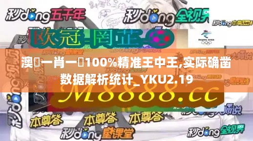 澳門一肖一碼100%精准王中王,实际确凿数据解析统计_YKU2.19