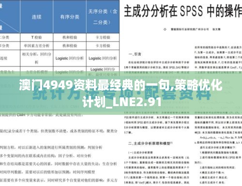 澳门4949资料最经典的一句,策略优化计划_LNE2.91