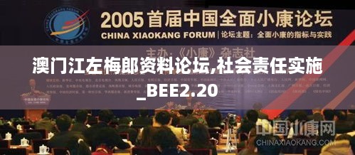 澳门江左梅郎资料论坛,社会责任实施_BEE2.20