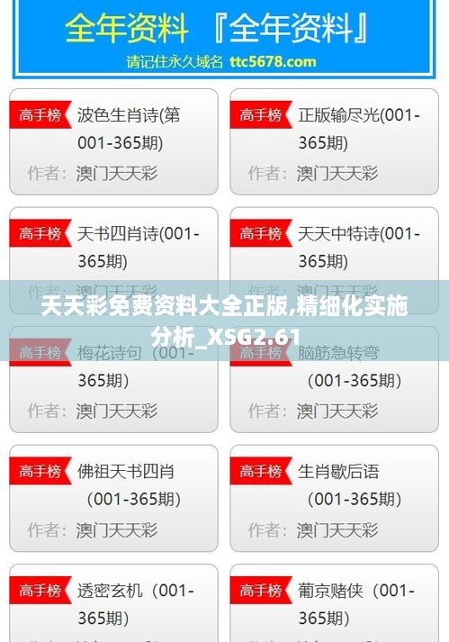 天天彩免费资料大全正版,精细化实施分析_XSG2.61