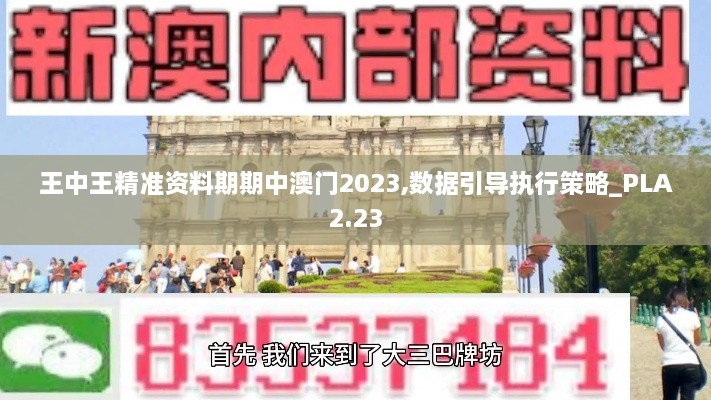 王中王精准资料期期中澳门2023,数据引导执行策略_PLA2.23