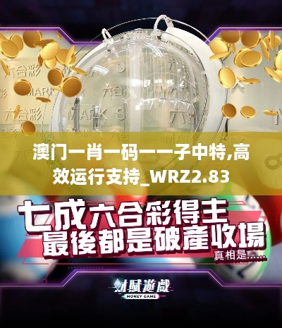 澳门一肖一码一一子中特,高效运行支持_WRZ2.83