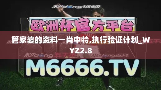 管家婆的资料一肖中特,执行验证计划_WYZ2.8