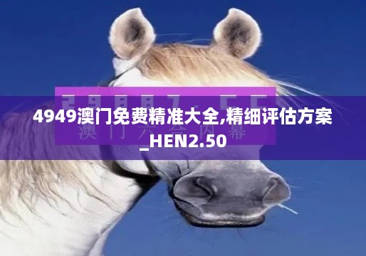 4949澳门免费精准大全,精细评估方案_HEN2.50