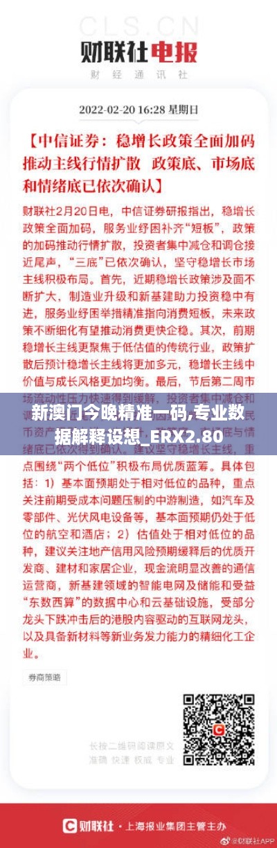 新澳门今晚精准一码,专业数据解释设想_ERX2.80