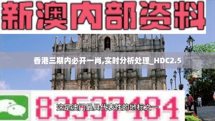 香港三期内必开一肖,实时分析处理_HDC2.5