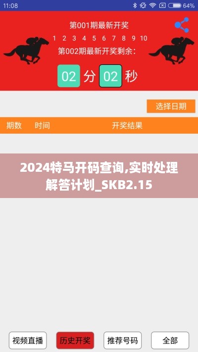 2024特马开码查询,实时处理解答计划_SKB2.15