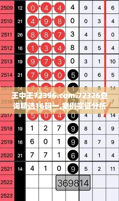 王中王72396.cσm.72326查询精选16码一,案例实证分析_JSB2.12