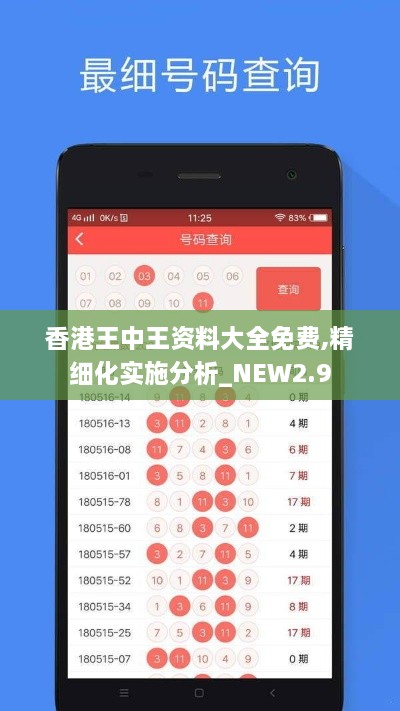 香港王中王资料大全免费,精细化实施分析_NEW2.9