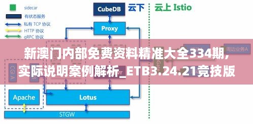 新澳门内部免费资料精准大全334期,实际说明案例解析_ETB3.24.21竞技版