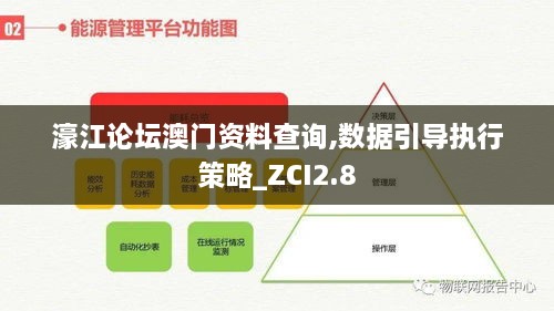 濠江论坛澳门资料查询,数据引导执行策略_ZCI2.8