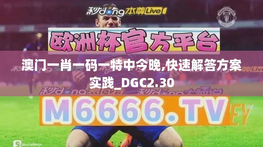 澳门一肖一码一特中今晚,快速解答方案实践_DGC2.30