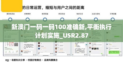 新澳门一码一码100准确新,平衡执行计划实施_USR2.87