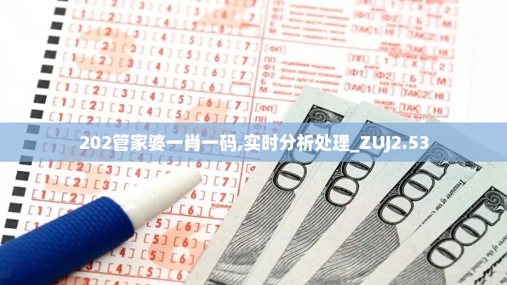 202管家婆一肖一码,实时分析处理_ZUJ2.53