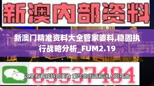 新澳门精准资料大全管家婆料,稳固执行战略分析_FUM2.19