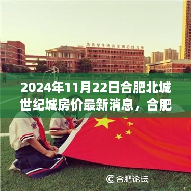 合肥北城世纪城房价走势深度解析，最新消息与多维度观点探讨（2024年11月22日）