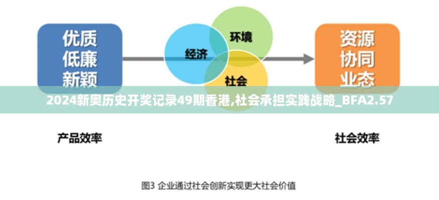 2024新奥历史开奖记录49期香港,社会承担实践战略_BFA2.57