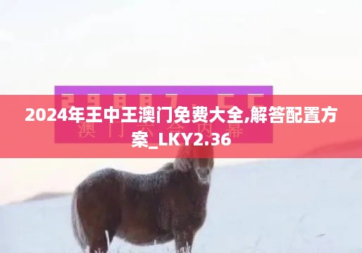 2024年王中王澳门免费大全,解答配置方案_LKY2.36