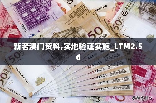 新老澳门资料,实地验证实施_LTM2.56