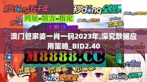 澳门管家婆一肖一码2023年,深究数据应用策略_BID2.40