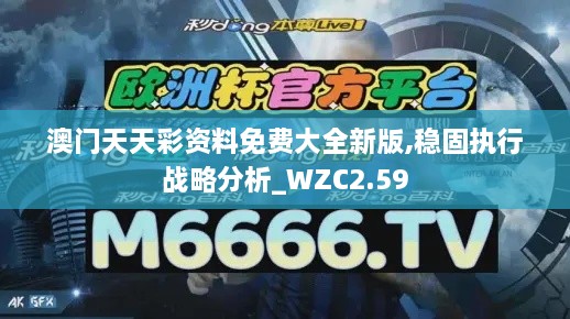 澳门天天彩资料免费大全新版,稳固执行战略分析_WZC2.59