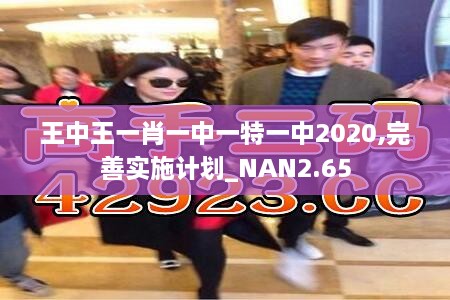 王中王一肖一中一特一中2020,完善实施计划_NAN2.65