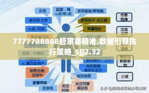 7777788888管家婆精准,数据引导执行策略_SJJ2.32