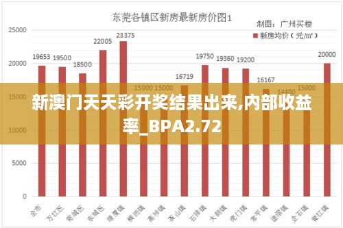 新澳门天天彩开奖结果出来,内部收益率_BPA2.72