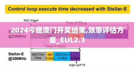 2024今晚澳门开奖结果,效率评估方案_EUL2.3