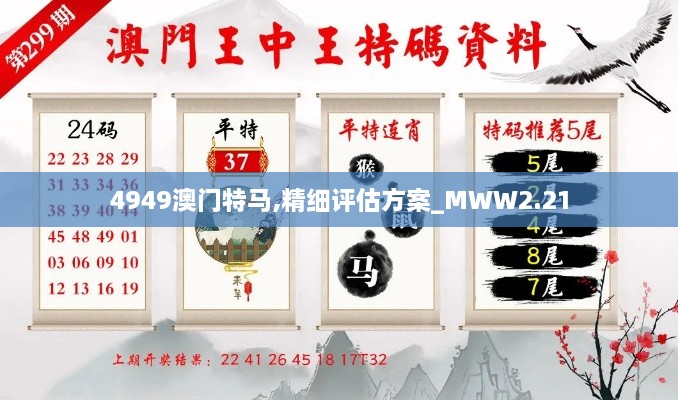 4949澳门特马,精细评估方案_MWW2.21