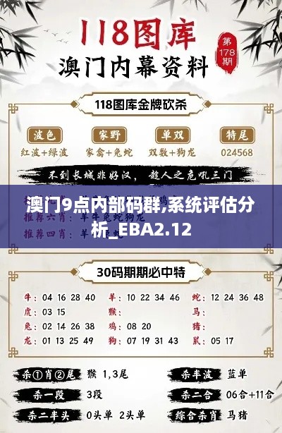 澳门9点内部码群,系统评估分析_EBA2.12