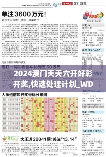 2024澳门天天六开好彩开奖,快速处理计划_WDK2.52