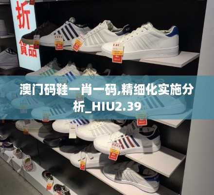 澳门码鞋一肖一码,精细化实施分析_HIU2.39