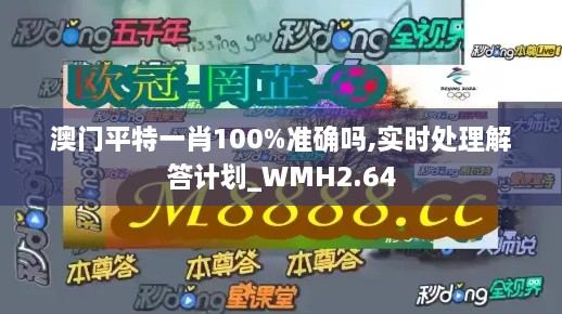 澳门平特一肖100%准确吗,实时处理解答计划_WMH2.64