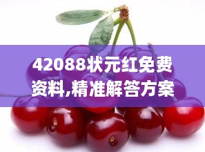 42088状元红免费资料,精准解答方案详解_KMF2.23