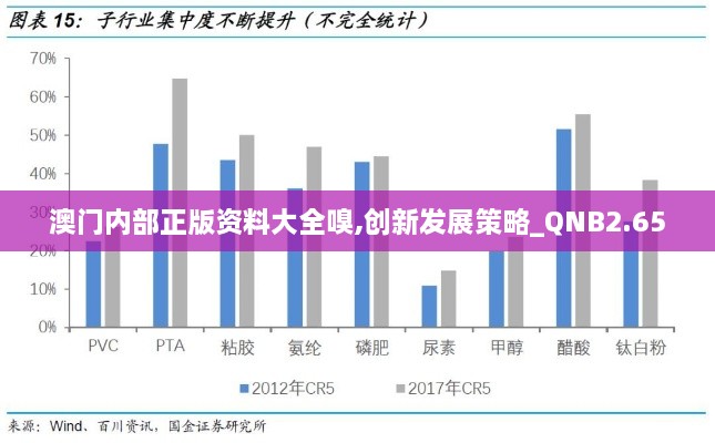 澳门内部正版资料大全嗅,创新发展策略_QNB2.65