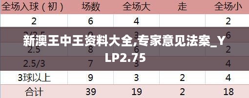 新澳王中王资料大全,专家意见法案_YLP2.75