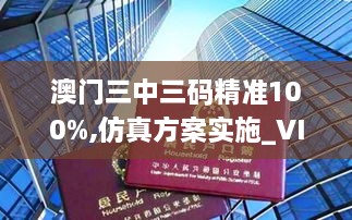 澳门三中三码精准100%,仿真方案实施_VIA2.15