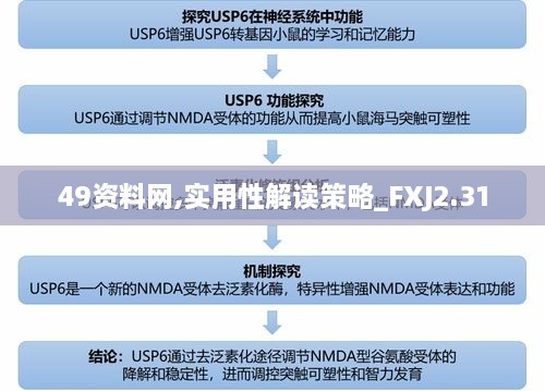 49资料网,实用性解读策略_FXJ2.31