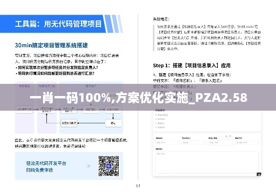 一肖一码100%,方案优化实施_PZA2.58