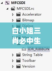 白小姐三肖必中生肖开奖号码,执行验证计划_FUM2.85