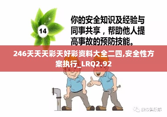 246天天天彩天好彩资料大全二四,安全性方案执行_LRQ2.92