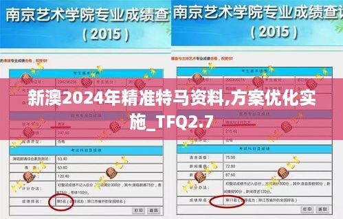 新澳2024年精准特马资料,方案优化实施_TFQ2.7