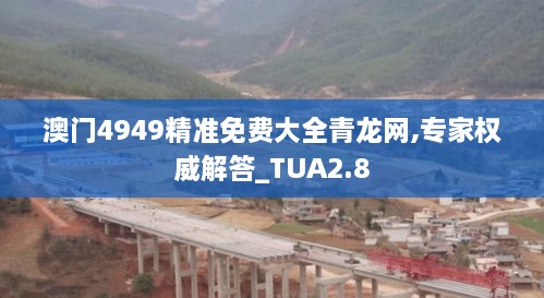 澳门4949精准免费大全青龙网,专家权威解答_TUA2.8