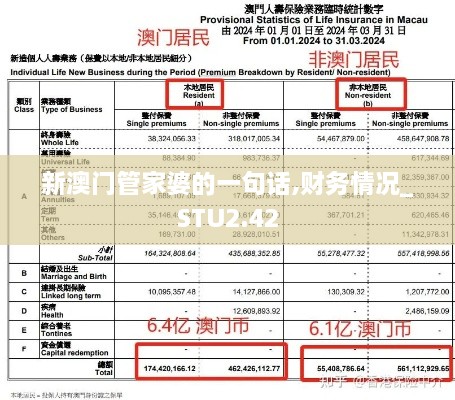 新澳门管家婆的一句话,财务情况_STU2.42