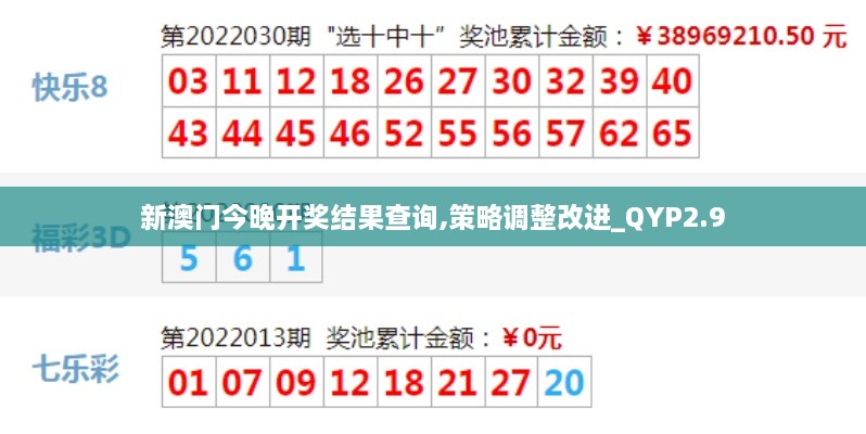 新澳门今晚开奖结果查询,策略调整改进_QYP2.9