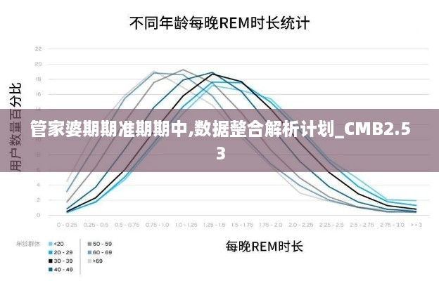 管家婆期期准期期中,数据整合解析计划_CMB2.53