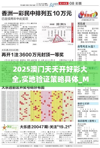 2025澳门天天开好彩大全,实地验证策略具体_MUW2.68