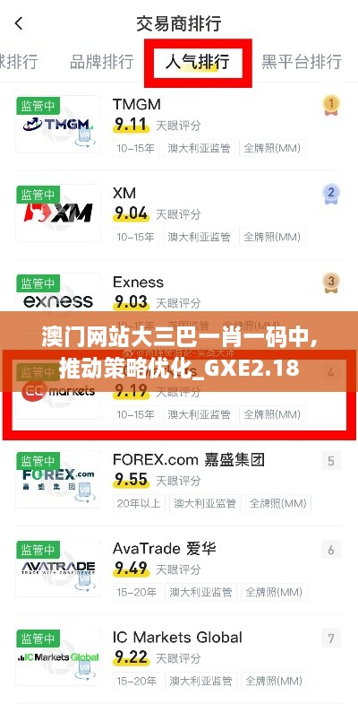 澳门网站大三巴一肖一码中,推动策略优化_GXE2.18