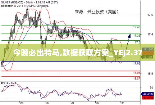 今晚必出特马,数据获取方案_YEJ2.37